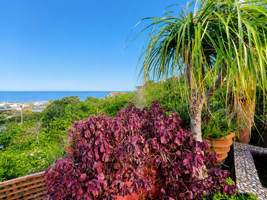 4 Bedroom Property for Sale in Brenton On Sea Western Cape